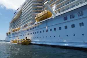 Bay of Islands 31oct2019 (272)